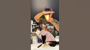 Đèn năng lượng mặt trời cho sân vườn