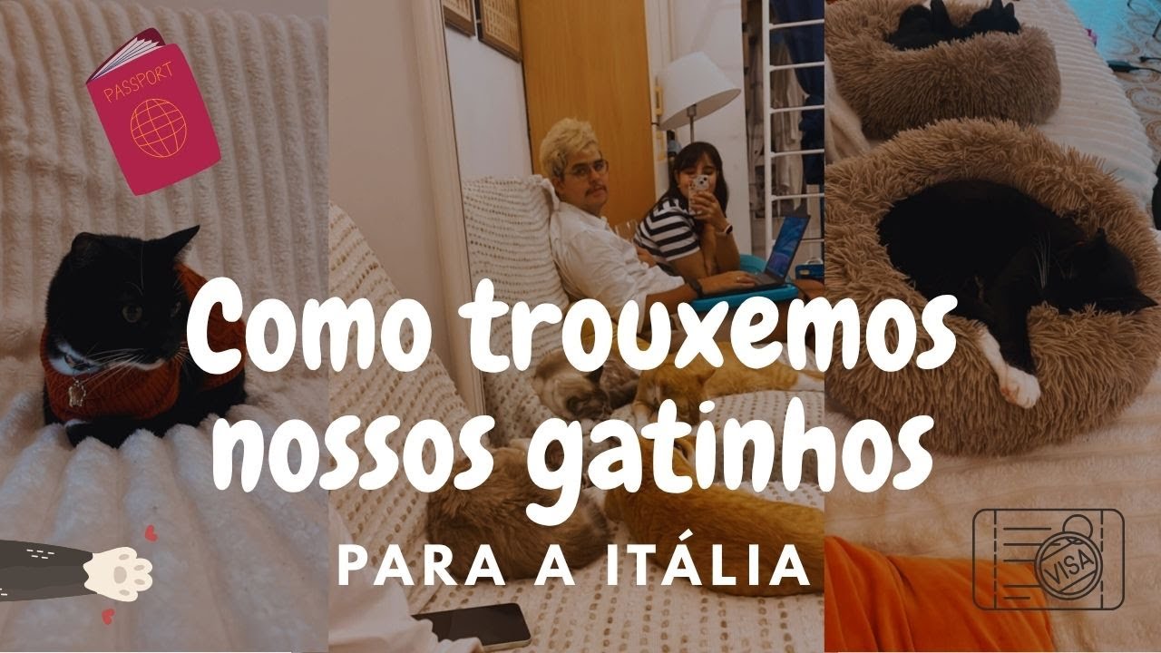 Tudo o que você precisa saber para levar seu pet para a Europa: Documentos, Custos e Prazos!