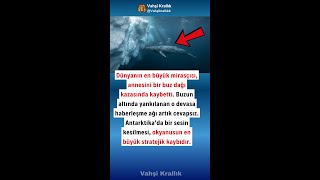 MAVİ BALİNA YAVRUSUNUN BOŞ ŞARKISI