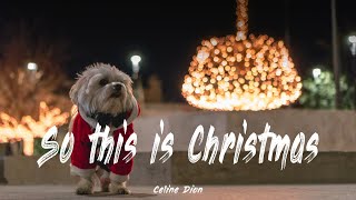 So this is Christmas - Celine Dion |Lyrics /Happy Xmas [1 HOUR]