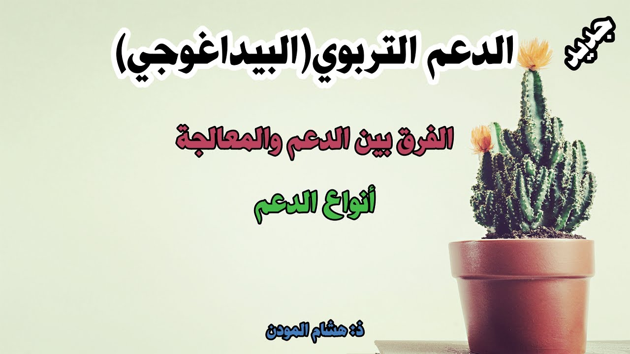 الدعم التربوي (البيداعوجي) والمعالجة