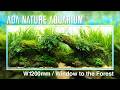 [ADAview] 森の窓 - W1200mm Nature Aquarium Layout-【EN/JP Sub.】