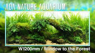 ADAview] Window to the Forest - W1200mm Nature Aquarium Layout