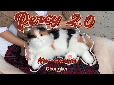 The Ultimate Gift for Seniors: Percy, the Interactive Robotic Companion Cat