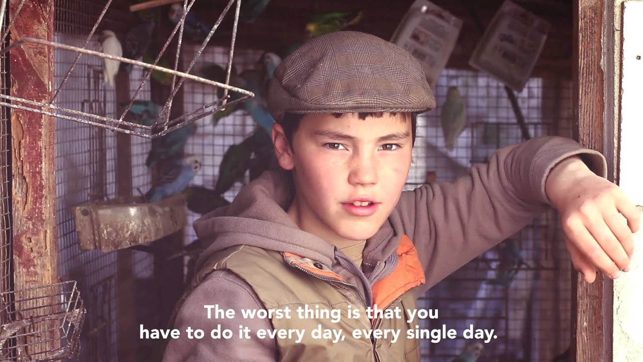 I AM A SEPHERD  (SOM PASTOR)