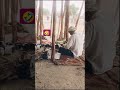 new viral funny tiktok video #ytshorts #shorts #viralshorts #trandingshorts #funny #comedy #new