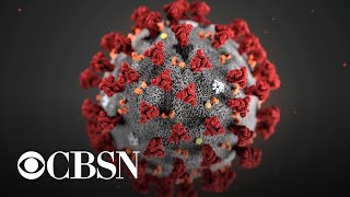 Daily coronavirus deaths may double by June, report says