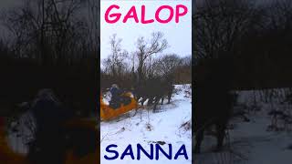 KONIE GALOP SANNA