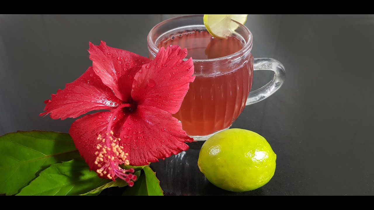 Weight loss hibiscus tea YouTube