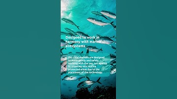 5 Ways Tidal Power Helps the Planet & Your Pocket #tidalenergy #renewableenergy #cleanelectricity