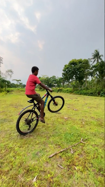 Wheelie after a long time on my cradiac Globetrotter#cycle #cyclinglife #stunt #cyclemode #wheelie