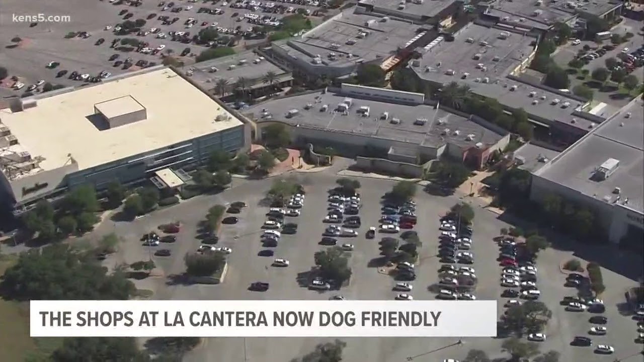 Shops at La Cantera now dog friendly YouTube