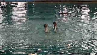 Nuoto Sincronizzato - Assoluto Savona 2022 - Duo Futura