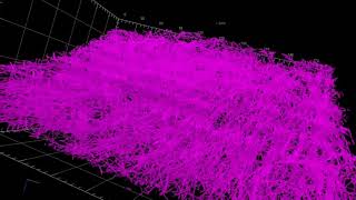 Axon myelination and local g-ratio of layer V pyramidal neurons...