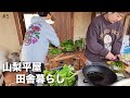 【#5】平屋田舎暮らし 卵の話|パンの準備|4度目の🥬|ソーラーパネル|カレー作り 山梨二拠点生活