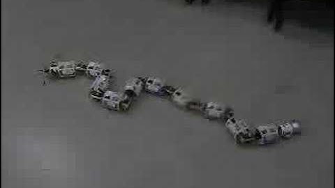 Snake Robot