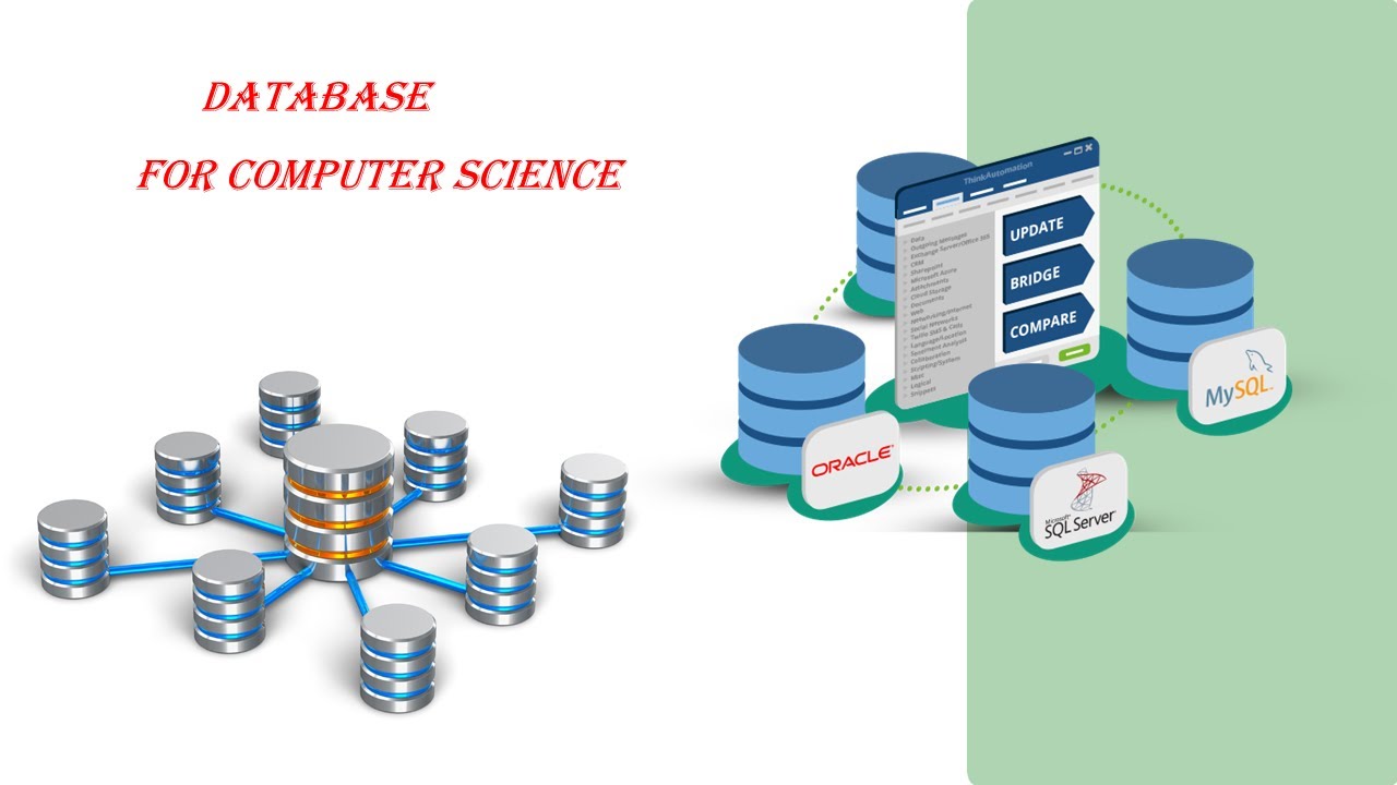 #3 SQL Commands DDL || Database.