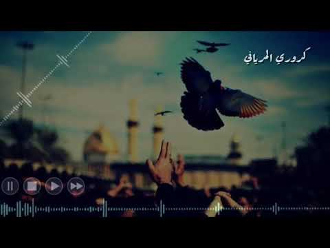 باسم الكربلائي على حنان احباب كلبي عودوني