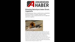 2022 BASINDA ELMADAĞ...