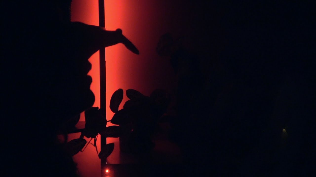 ASMR Halloween - Witch tries to SCARE you