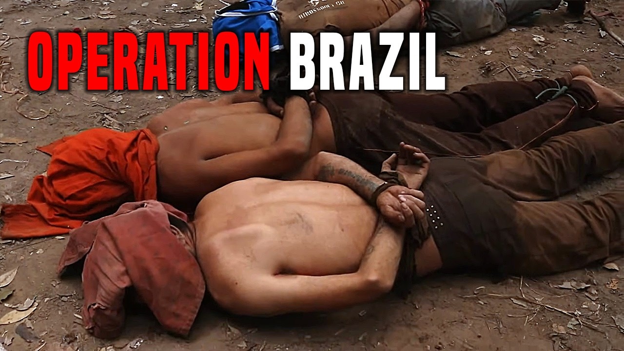 Hunting for Brazil's Illegal Loggers | Free Doc Bites