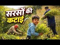 Sukoon wala life | Real Village Ambience with real Village sound | Peace lover