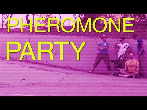 Pheromone Party -- Teaser Trailer