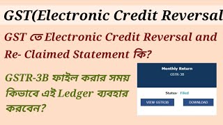 How to Use the Electronic Credit Reversal and Re-claimed Statement