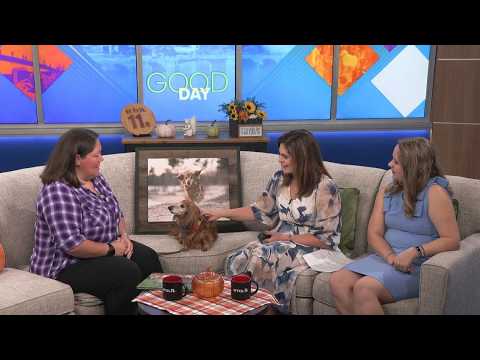 Pets in Focus 'A Life Well Loved' book celebrates photogenic pups for a cause | Good Day on WTOL 11