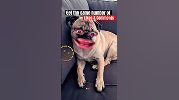 I Bet This Video Can’t Get The Same Number of Likes & Comments 🤯💬 | Youtube