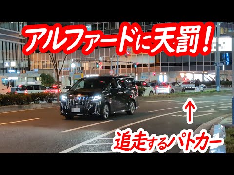 矢印なんてお構い無し！信号無視のアルファードに天罰！【パトカーによる信号無視取り締まり】