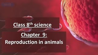 Reproduction In Animals Class 8 Science Chapter 9 Part 2