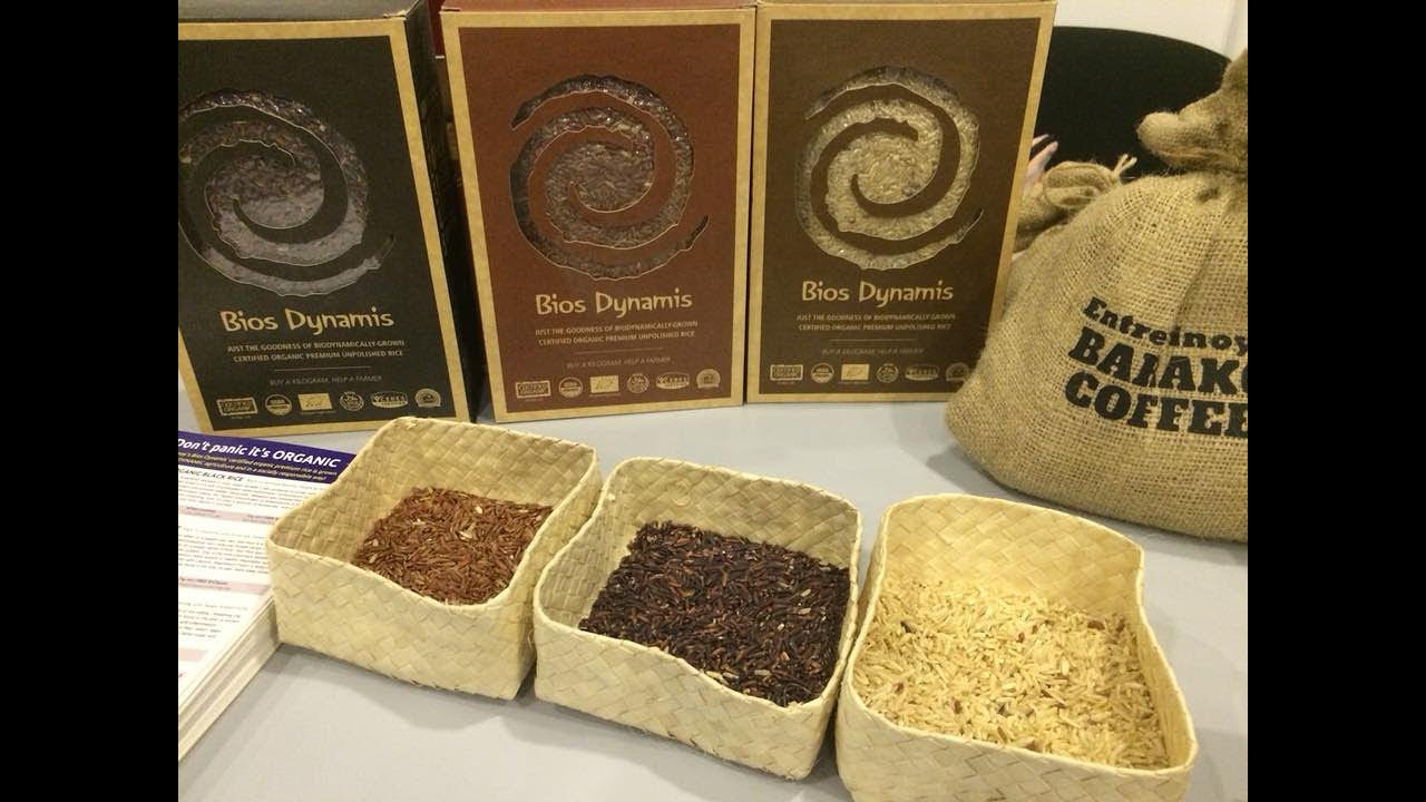 Dubai EntrePINOY Reintegration Programme for OFW