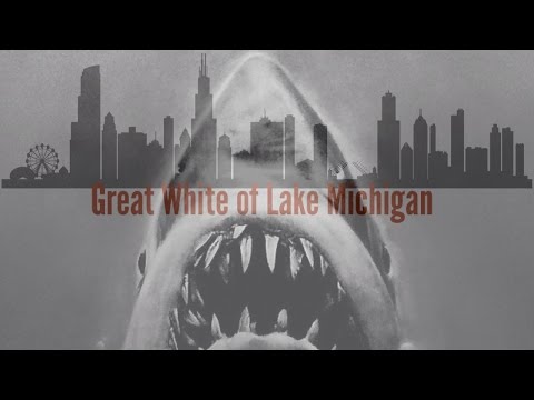 great-white-shark-attack-in-lake-michigan---wadsworth-productions