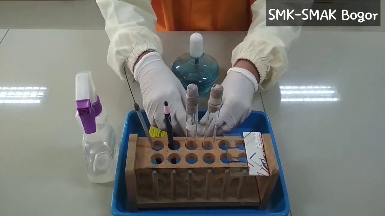 Pewarnaan positif sederhana