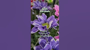 سورة الشرح الآيات من ١ إلى ٩ مع الترجمة