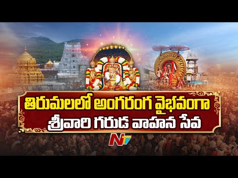 Tirumala : తిరుమలలో అంగరంగ వైభవంగా శ్రీవారి గరుడ వాహన సేవ | NTV Telugu - NTVTELUGU