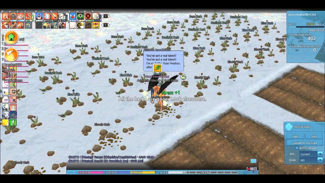 Mabinogi Gathering Herbs with Luck set and partner YouTube
