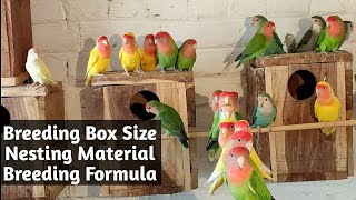 Best Box size and Nesting material For Lovebirds in Hindi English Urdu