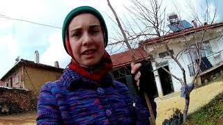 Köydeyi̇z - Hali Evi̇ne Gi̇tti̇k Sohbet Muhabbet - Saleplere Baktik Durumlari Gayet İyi̇ - Fi̇dan Di̇kti̇m. Resimi