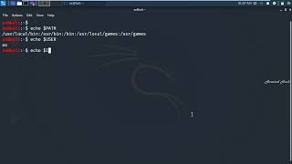 Full Bash Variables on kali linux with Echo Functions Guide