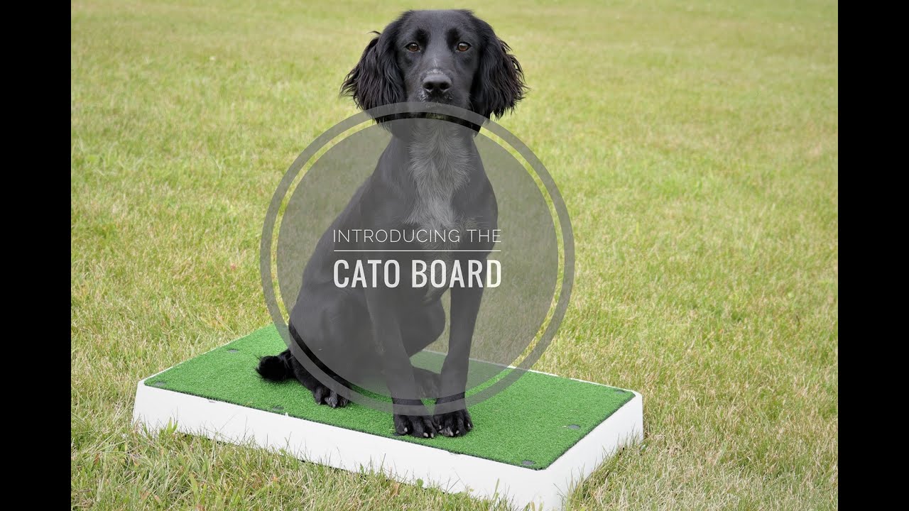 Cato Dog Place Training Board