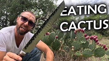 Eating Prickly Pear Cactus - Texas Desert