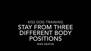 Stay From 3 Different Body Positions