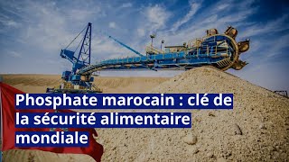 Phosphate Marocain Clé De La Sécurité Alimentaire Mondiale