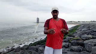 Wow! Never Seen Fishing Technique | Fishing with out Fish Bait to Catch Fishes