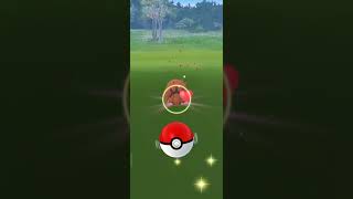 Catch Shiny Venipede✨(Pokemon Go)#shorts Catch Shiny Venipede✨(Pokemon Go)#shorts