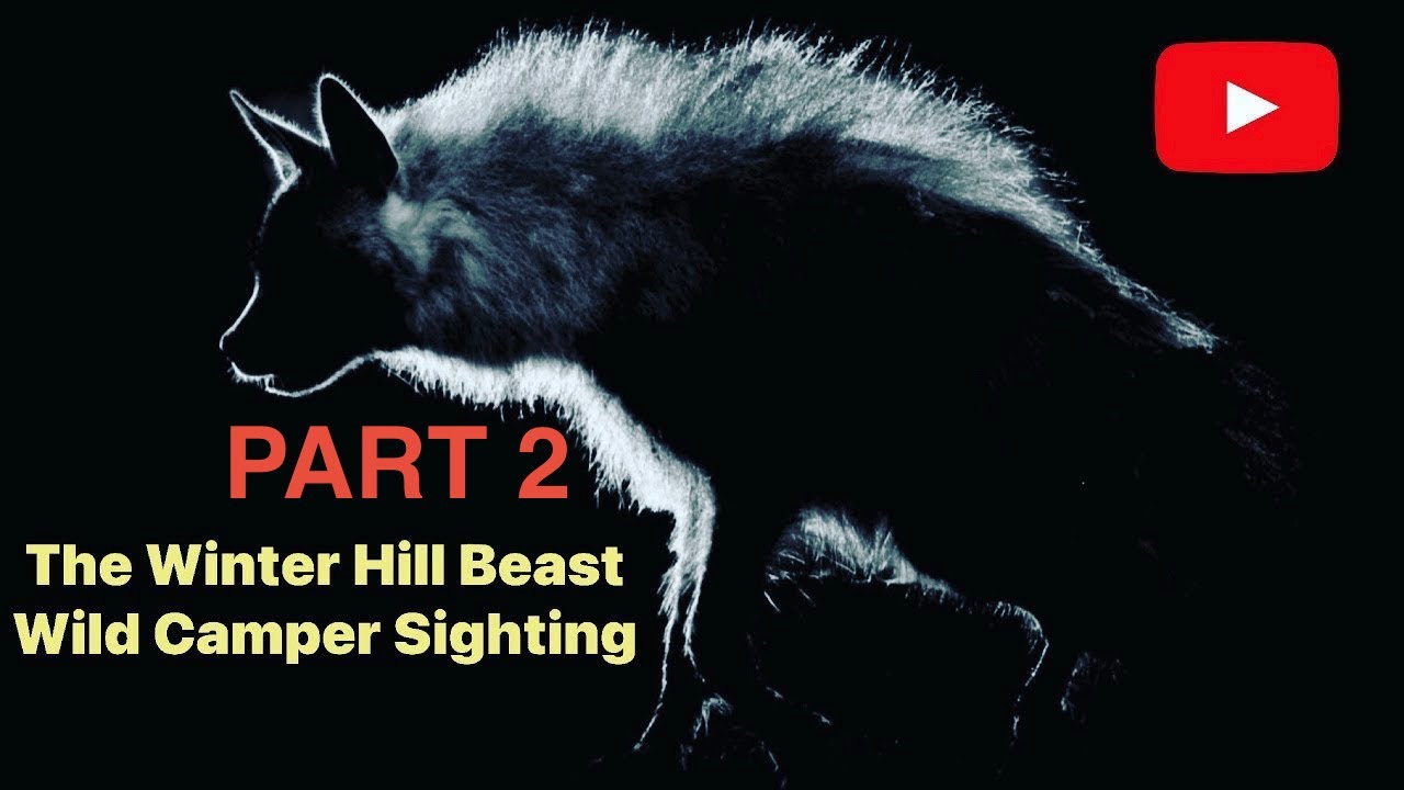 The Winter Hill Beast  Part “2”