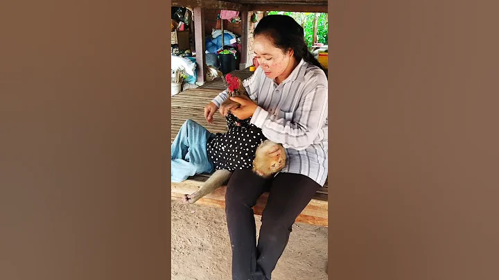 Great video Super SokYaa Very Adorable & Harmony Animals Around The World #shorts