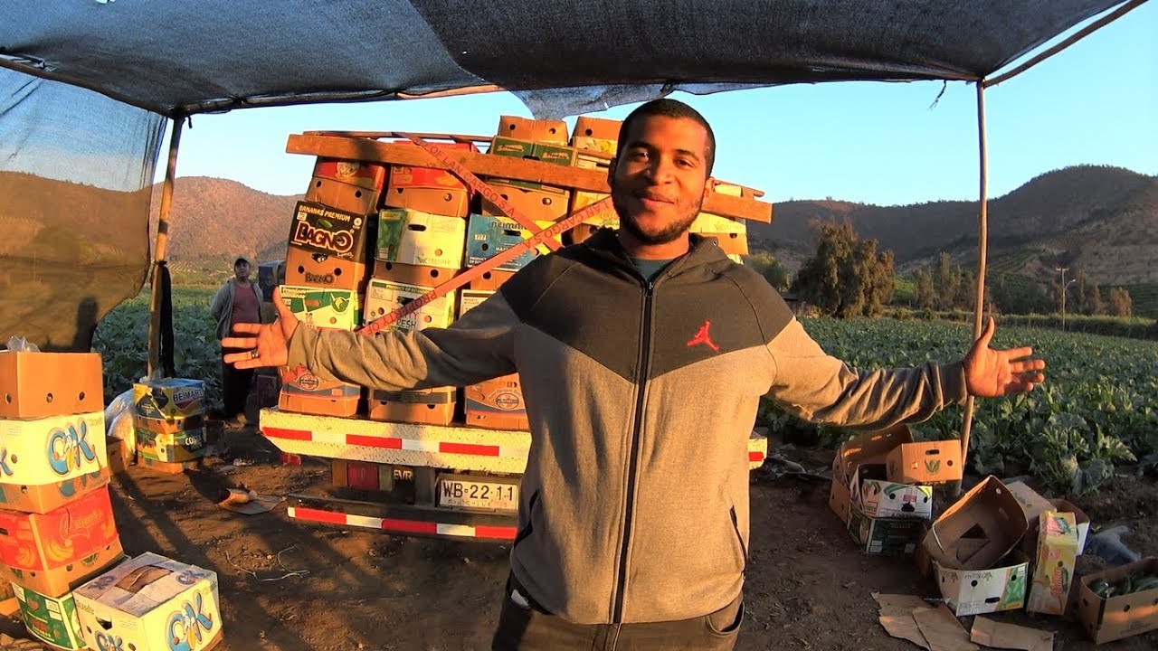 Nadie imagina como es un día de TRABAJO en Chile , Melipilla